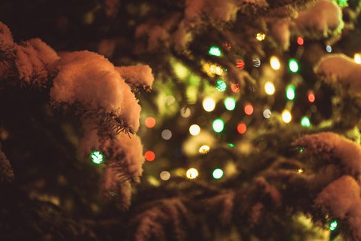 Part of christmas fir-tree under the snow outdoors with lights