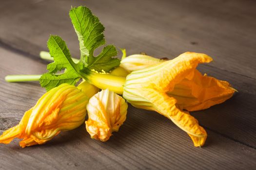 zucchini flowers on a wooden table close up