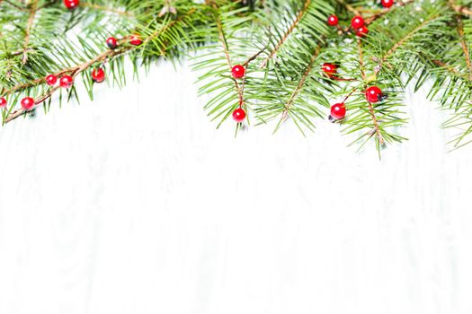 Fir brahcnes with holly berries on a wooden background. Copy text for Christmas greetings