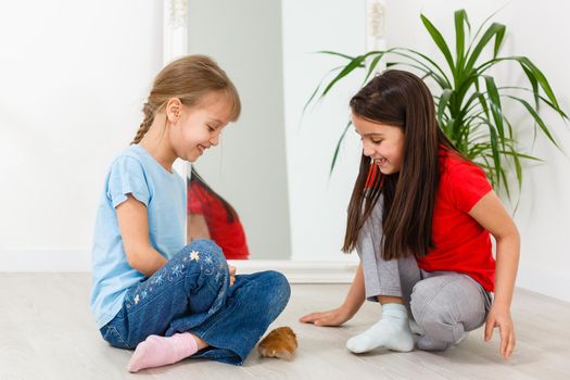 two little girls play with a hamster on the floor at home