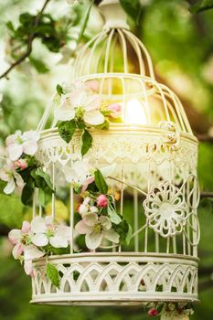Bird cage on the apple blossom tree in sunset.