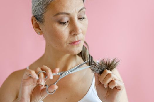 Doubting middle aged Asian woman cuts frayed ends of long grey hair with scissors on pink background in studio. Mature beauty lifestyle