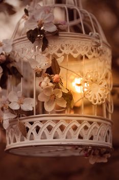 Bird cage on the apple blossom tree in evening glow