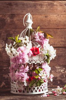 Bird cage with spring blossom of sakura and fruit flowers. Wedding decorations with copy space