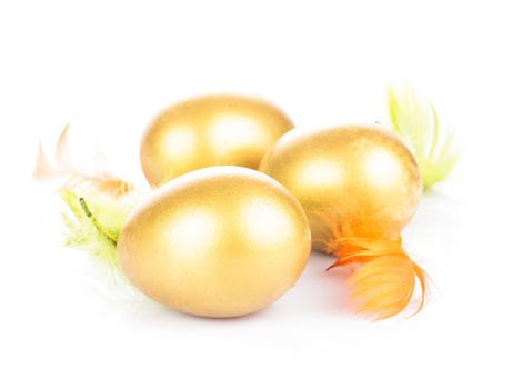 One golden eggs in the nest isolated on white