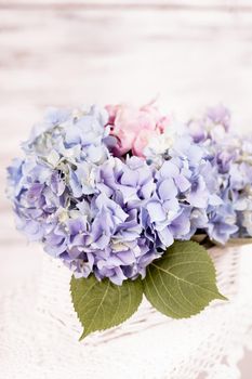 Blue hydrangea flowers in the white basket. Flower decor for the home