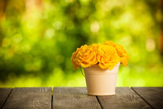 roses in the bucket outdoor on the table