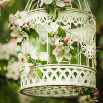 Bird cage on the apple blossom tree in sunset.