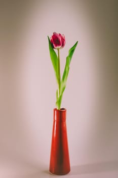 Red tulip in a red vase. Vertical photo. Retro style. Large veneering.