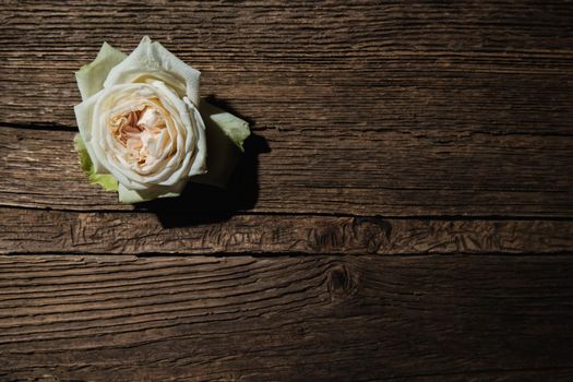 A white rose bud lies on a wooden textured board.