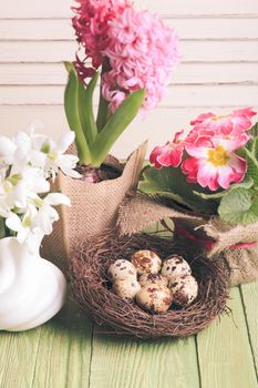 Quail eggs in the nest, the symbol of spring and flowers
