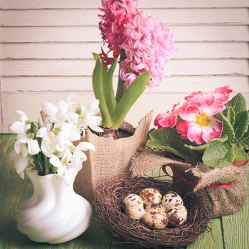 Quail eggs in the nest, the symbol of spring and flowers