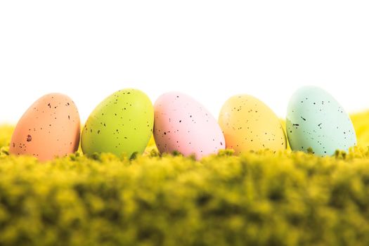 Easter eggs on the grass isolated for design