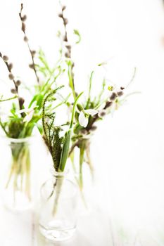 Snowdrops in the bottles, spring bouquets with shallow DOF