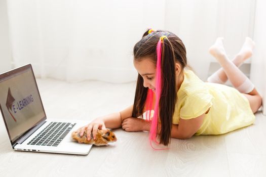Cheerful young little girl with a pet hamster using laptop computer studying through online e-learning system at home. Distance or remote learning