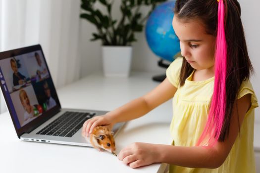 Educate at home. Child girl make homework with pet hamster. Funny ginger hamster sitting on table where kid is writing. Back to school.