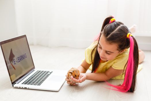 Cheerful young little girl with a pet hamster using laptop computer studying through online e-learning system at home. Distance or remote learning