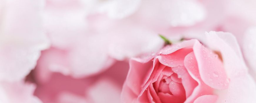 Beautiful pink rose with water drops. Can be used as background. Soft focus. Romantic style