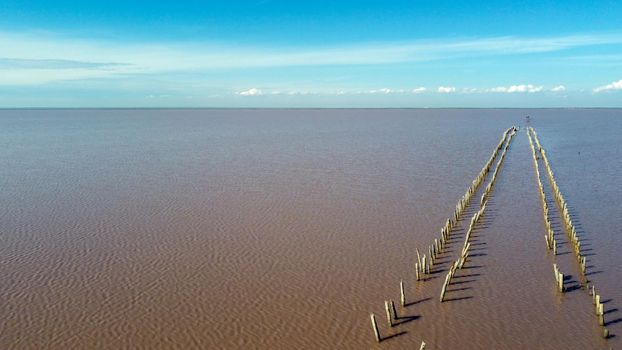 The pink lake - stock photo. View from the drone