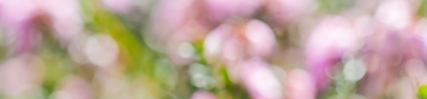 A blurry background of pink flowers in a spring garden