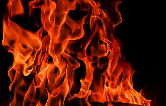 Flames of fire on a black background. The mystery of fire.