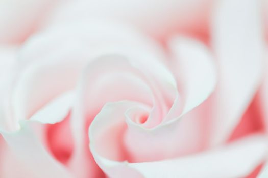 Botanical concept, wedding invitation card - Soft focus, abstract floral background, pink rose flower. Macro flowers backdrop for holiday brand design