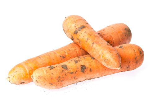 Fresh carrots with ash on a white background