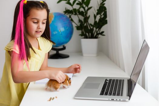 Educate at home. Child girl make homework with pet hamster. Funny ginger hamster sitting on table where kid is writing. Back to school.