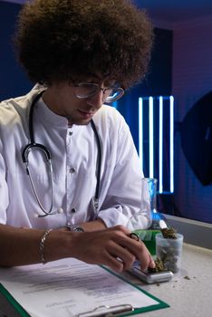 an Arab student with an Afro hairstyle in a doctor's suit is engaged in cannabis research