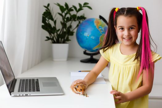 Educate at home. Child girl make homework with pet hamster. Funny ginger hamster sitting on table where kid is writing. Back to school.