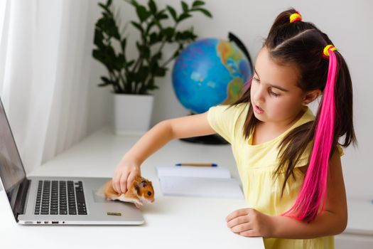 Cheerful young little girl with a pet hamster using laptop computer studying through online e-learning system at home. Distance or remote learning