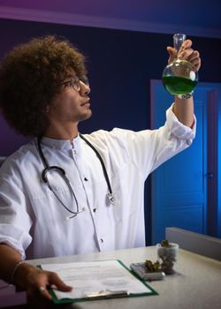 an Arab student with an Afro hairstyle in a doctor's suit is engaged in cannabis research