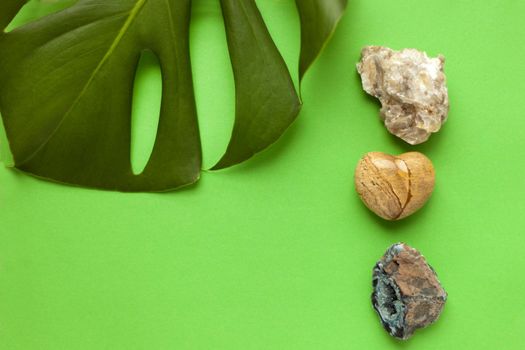 minerals and monstera plant on green paper - variety of colored sea pebbles with leaf of green monstera as a summer background close-up