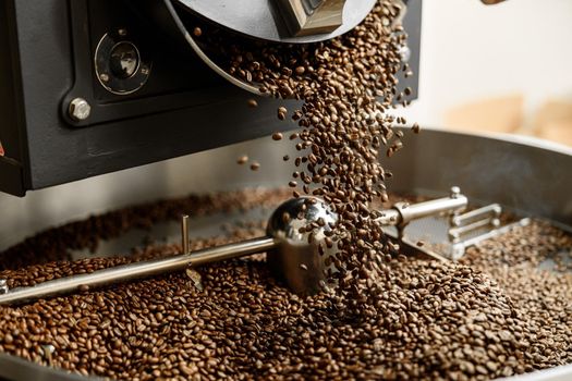 Young specialist worker is roasting coffee in hangar