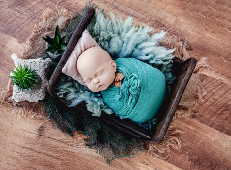 Beautiful background for newborn photosession with colorful plants and swaddled infant manequen for photographer trainings. Digital composite with wooden bed with fur and baby doll