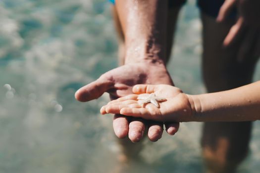 E Father hold son hand. Child show starfish lie on open palm. Close up wet drops skin, thumb finger. Sea tourism, care about marine fauna nature world beauty, boy curiosity. Together save ocean.