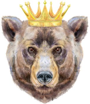 Bear portrait. Watercolor brown bear in gold crown painting illustration. Beautiful wildlife world