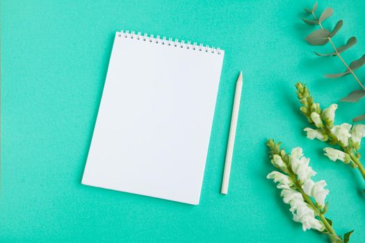 Top view of blank sheet of notebook and white pencil and white spring flowers on green table. Copy space. white notebook and flowers