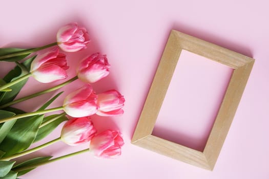 Pink Tulip flowers are arranged on a pink background. The view from the top, flat lay. Empty space for the text. Spring concept. Women's day. Mother's day.