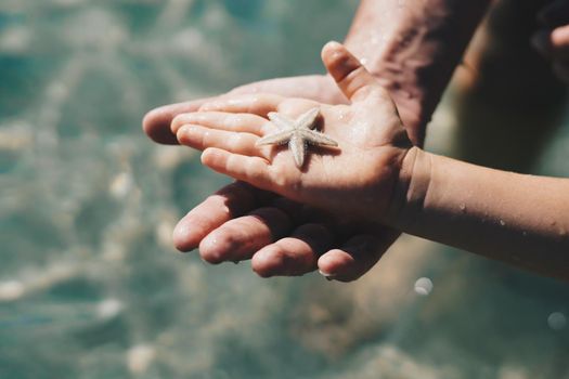 E Father hold son hand. Child show starfish lie on open palm. Close up wet drops skin, thumb finger. Sea tourism, care about marine fauna nature world beauty, boy curiosity. Together save ocean.