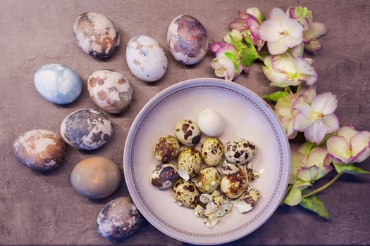 Naturally colored Easter eggs with onion skin and hand-painted with fresh flowers on concrete background. spring concept,