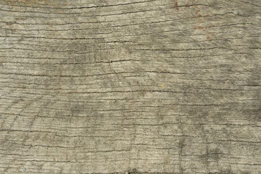 The old wood texture with natural patterns with cracked color, background.