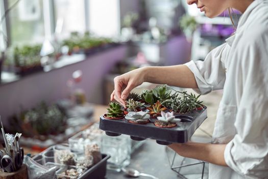 Confident female florist is working with dryed flowers in cozy flower shop