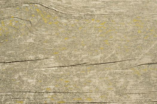 The old wood texture with natural patterns with cracked color, background.