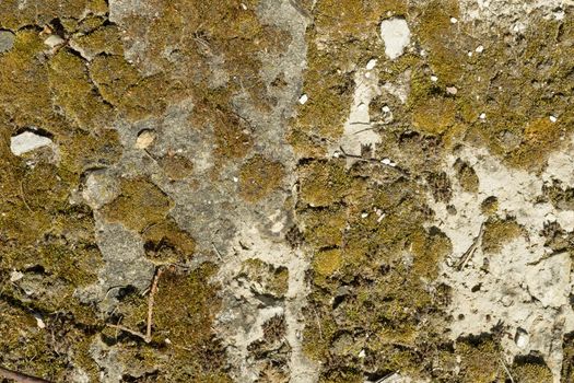 Texture of concrete, cement, old moss covered background