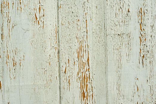 The old wood texture with natural patterns with cracked color Paint, background.