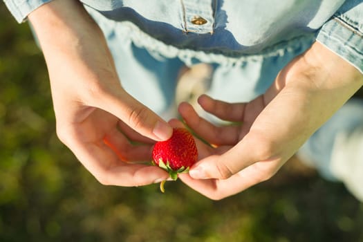 One strawberry in woman's hand. Background green meadow