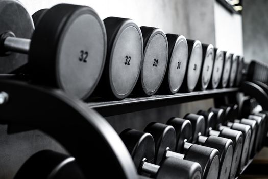 Close up photo of new dumbbells on a rack in a gym