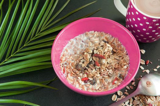 Coffee cup and oatmeal with nuts, milk and dried fruits in violet bowl on black table near green palm leaf. Perfect whole grain breakfast as tasty organic food.