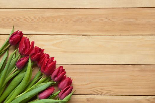 red Spring Tulip Flowers on wooden table. Blooming spring petals. Beautiful red Tulips in spring. Tulip flower with green leafs on wooden background. spring day for postcard